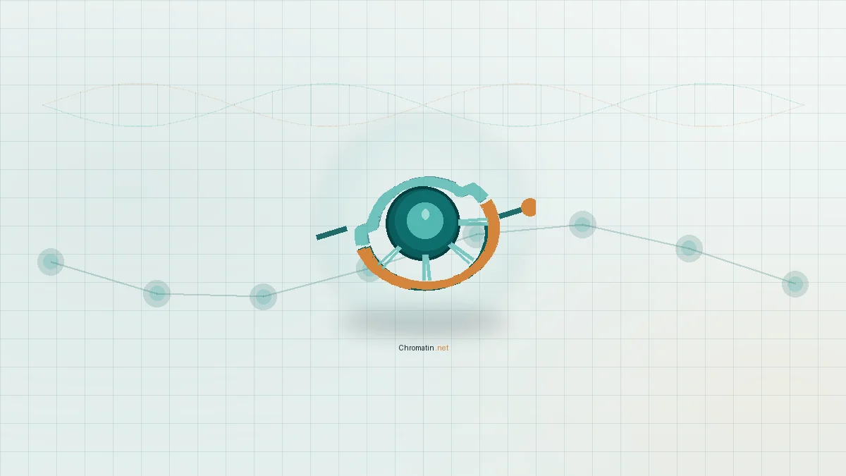 Diagram-style study visual for Genetics topics on Chromatin.net