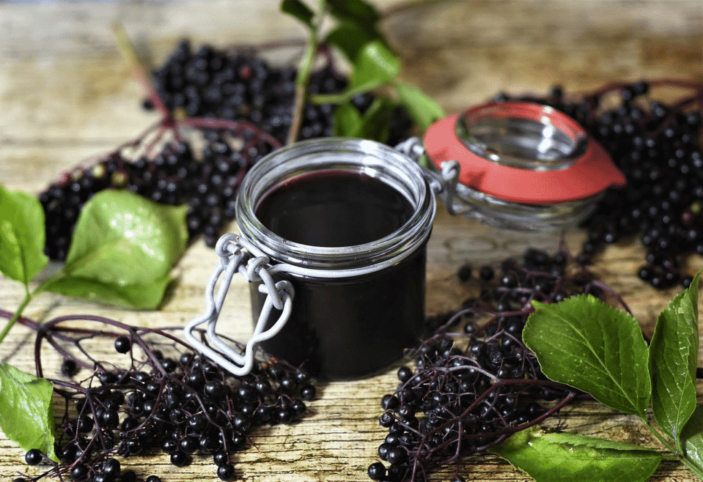 elderberry branches, leaves, and syrup in jar