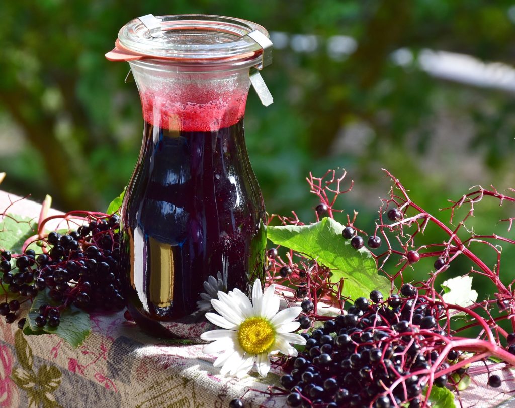 image of elderberry varieties including berries and syrup